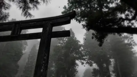 Misty Torii Gate