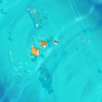 Cute Corgi Dogies Swimming Live Wallpaper