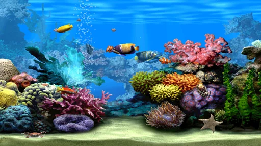 Download Marine Aquarium Screensaver