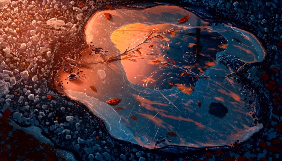 Download Autumn Puddle Reflection Live Wallpaper