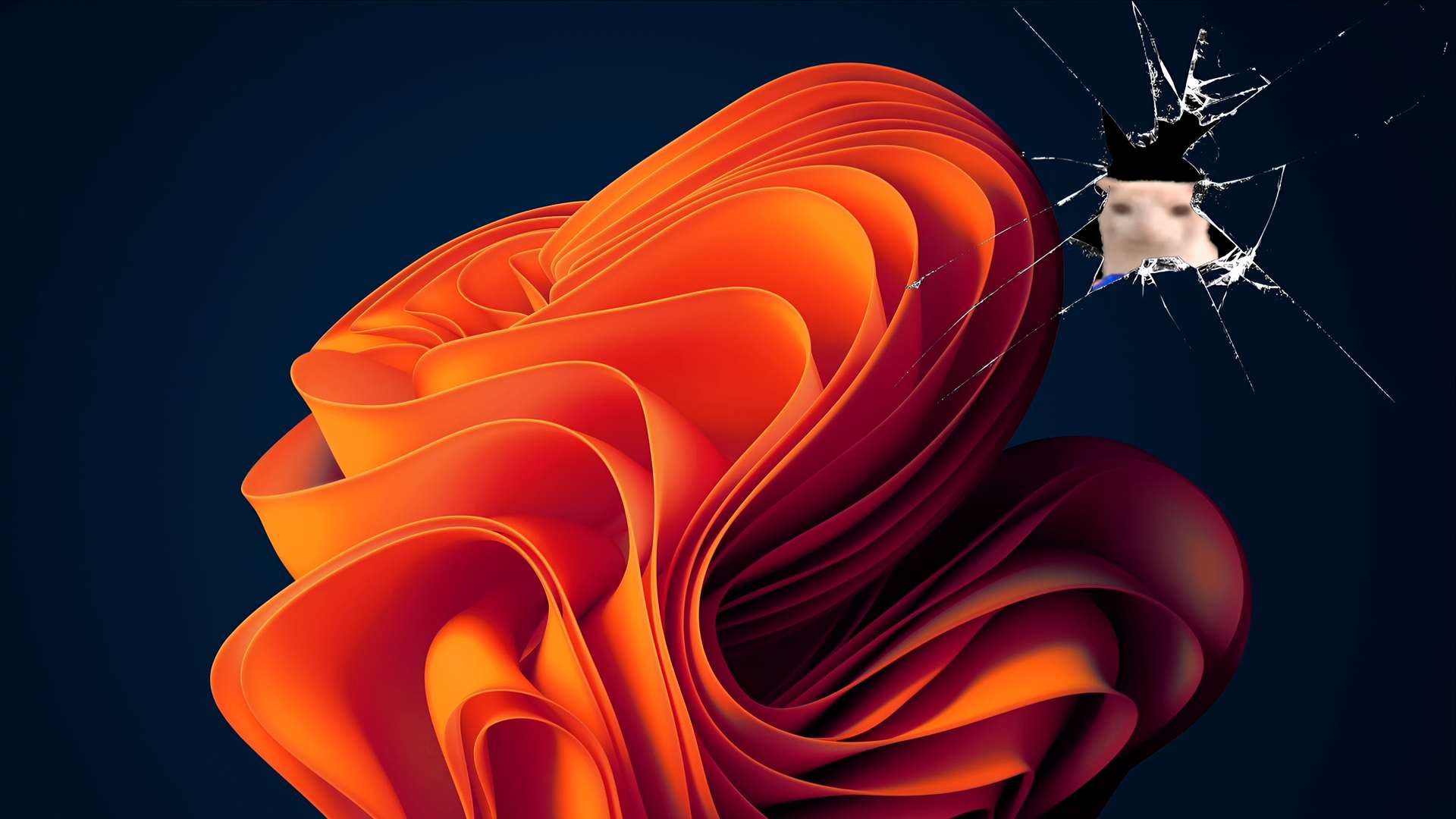 Download Windows 11 Bloom - Cracked Screen Live Wallpaper