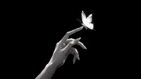 Gleaming Butterfly