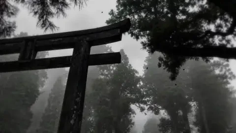 Misty Torii Gate Live Wallpaper animated wallpaper preview