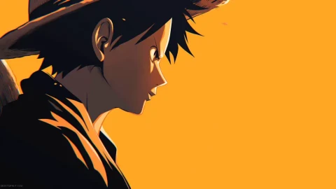Monkey D Luffy Orange One Piece Live Wallpaper - Adventure Wallpaper