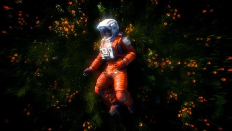 Astronaut in Flower Field Live Wallpaper animated wallpaper preview