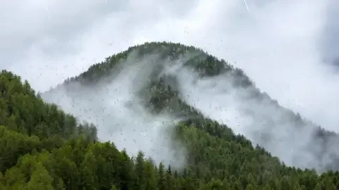 Misty Mountain Rain Live Wallpaper - Free Live Wallpaper