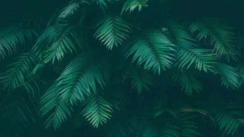 Tropical Green Leaves Live Wallpaper animated wallpaper preview