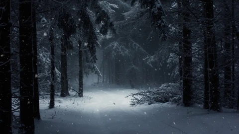 PC Winter Snow Forest Live Wallpaper Free animated wallpaper preview
