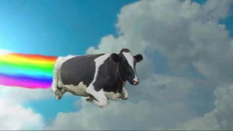 PC Desktop Rainbow Cow Live Wallpaper - Kostenloses Live Wallpaper