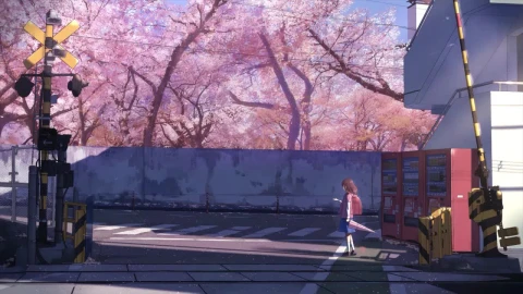 Akari Shinohara Cherry Blossom Road 5 Centimeters Per Second HD Live Wallpaper For PC - Lo fi aesthetic Wallpaper