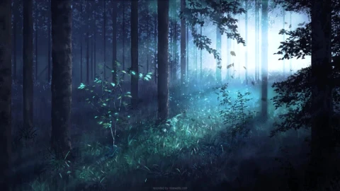Morning In The Forest HD Live Wallpaper For PC - Stock Video Ice Cubes Thawing On Black Background Animated Wallpaper Wallpaper