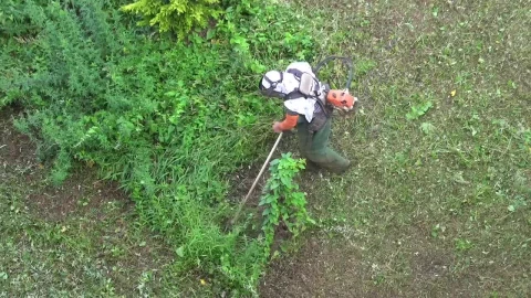 Stock Video A Man Cutting The Undergrowth Live Wallpaper For PC - For Wallpaper