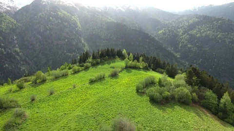 Stock Video A Green Valley In The Top Of A Mountain Live Wallpaper For PC - Birds of prey Wallpaper