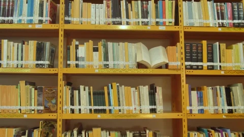 Stock Video Bookcase Of A Library Seen In Detail Live Wallpaper For PC - Birds of prey Wallpaper
