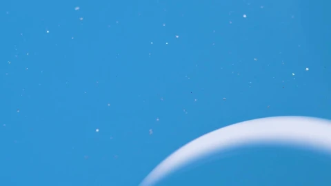 Stock Video Blue Bubbles Live Wallpaper For PC - Wallpaper video anime Wallpaper