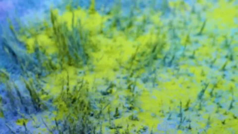Stock Video Blue And Yellow Powder Live Wallpaper For PC - Wallpaper video anime Wallpaper