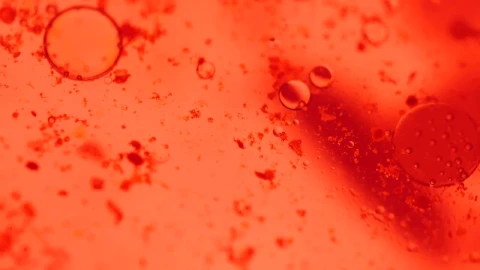 Stock Video Bloodstream With Viruses In It Live Wallpaper For PC - Live Wallpaper