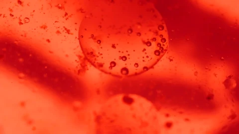 Stock Video Bloodstream Virus Live Wallpaper For PC - Live Wallpaper