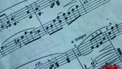 Stock Video Blood Of Murder Spilled On Sheet Music Live Wallpaper For PC - Birds of prey Wallpaper