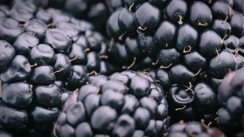 Stock Video Blackberries In Detail Live Wallpaper For PC - Live Wallpaper