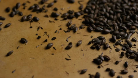 Stock Video Black Barley On A Brown Surface Live Wallpaper For PC - On Wallpaper