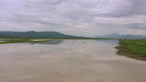 Stock Video Birds Flying Low Over A Lake In A Meadow Live Wallpaper For PC - Birds of prey Wallpaper