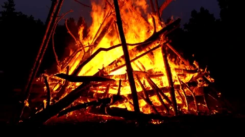 Stock Video Big Bonfire Burning In The Night Live Wallpaper For PC - Live Wallpaper