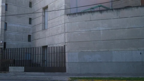 Stock Video Bicycle In Front Of Building Live Wallpaper For PC - Birds of prey Wallpaper