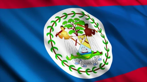 Stock Video Belize Flag From The American Continent Live Wallpaper For PC animated wallpaper preview