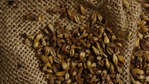Stock Video Beer Brewing Ingredients On A Natural Fabric Live Wallpaper For PC - Live Wallpaper