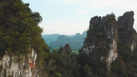 Stock Video Beautiful Wet And Green Panorama Taken From Above Live Wallpaper For PC - Live Wallpaper