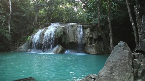 Stock Video Beautiful Waterfall Hidden In Woodland Live Wallpaper For PC - Live Wallpaper