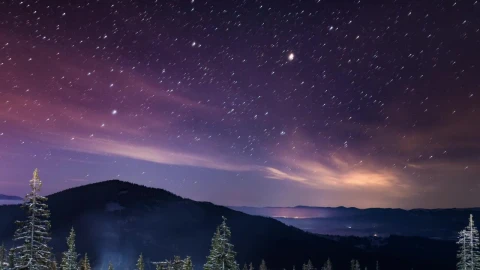 Stock Video Beautiful Time Lapse Of A Starry Sky Live Wallpaper For PC - Birds of prey Wallpaper