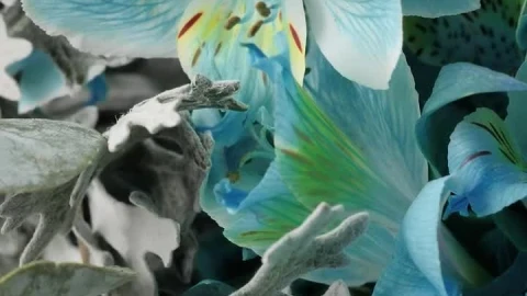 Stock Video Beautiful Texture Of Blue Flowers Live Wallpaper For PC - Birds of prey Wallpaper