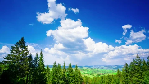 Stock Video Beautiful Summer Landscape In The Mountains Live Wallpaper For PC - Live Wallpaper