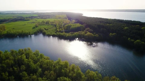 Stock Video Beautiful River In Nature In Spring Live Wallpaper For PC - Live Wallpaper