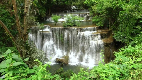 Stock Video Beautiful River And Waterfalls In The Forest Live Wallpaper For PC - Live Wallpaper