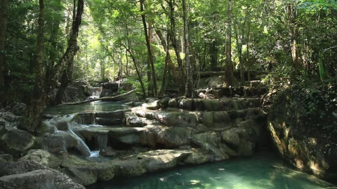 Stock Video Beautiful River And Waterfalls In A Park Live Wallpaper For PC - Live Wallpaper
