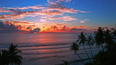 Stock Video Beautiful Orange Sunset On The Beach Live Wallpaper For PC - Live Wallpaper