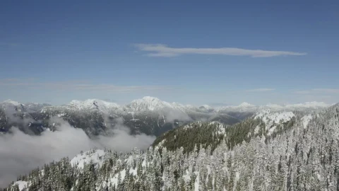 Stock Video Beautiful Landscape Of Snowy Mountains Aerial Live Wallpaper For PC - Birds of prey Wallpaper