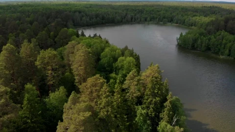Stock Video Beautiful Forest And Lake Live Wallpaper For PC - Live Wallpaper
