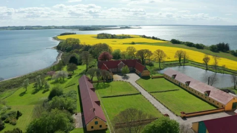 Stock Video Beautiful Fields In Europe Live Wallpaper For PC - Live Wallpaper