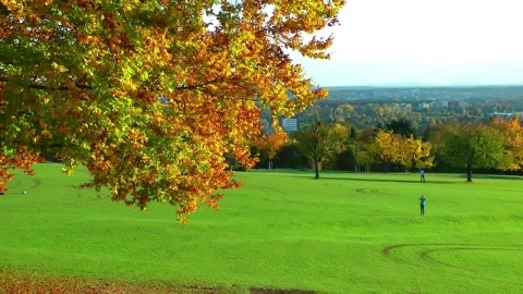Stock Video Beautiful Field In A Park In Autumn Live Wallpaper For PC - Live Wallpaper