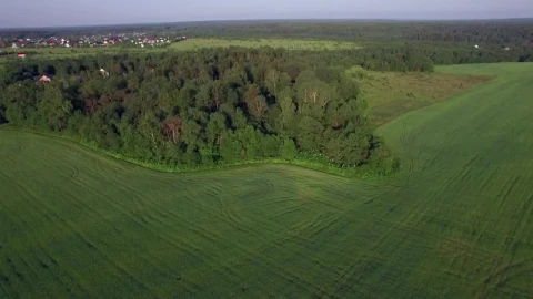 Stock Video Beautiful Countryside In Russia Live Wallpaper For PC - Live Wallpaper