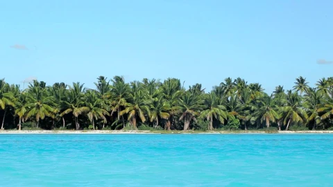 Stock Video Beautiful Coastline And Ocean Live Wallpaper For PC - Live Wallpaper