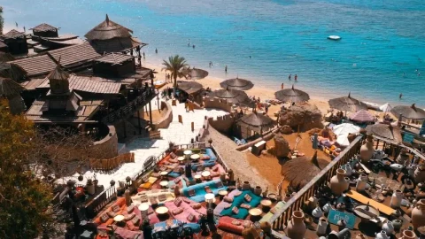 Stock Video Beach With Umbrellas And A Pier Live Wallpaper For PC - Live Wallpaper