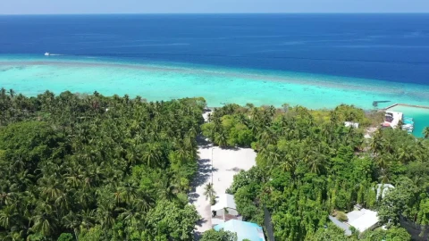 Stock Video Beach With Two Blue Tones Sea Aerial Shot Live Wallpaper For PC - Live Wallpaper