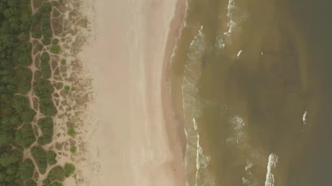 Stock Video Beach Sand And Sea Top Aerial Shot Live Wallpaper For PC - Live Wallpaper