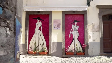 Video Stock Clothing Shop With Art On Its Doorstep Live Wallpaper For PC - Live Wallpaper