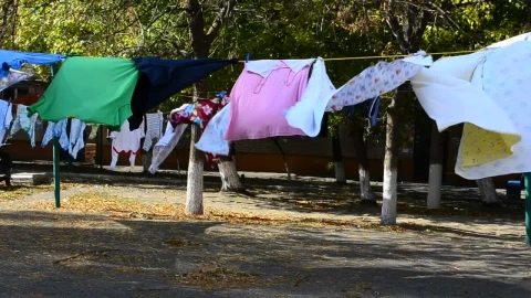 Video Stock Clothes Drying Outside Live Wallpaper For PC - Live Wallpaper